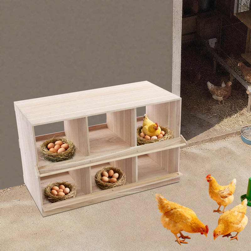 【ペカみつ】銀座ステファニーPLACENTIST (5箱セット) Ophelia & Co. 6 Hole Wood Nesting Box For Chickens | Wayfair